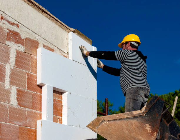 Best Commercial Insulation in Sage, CA